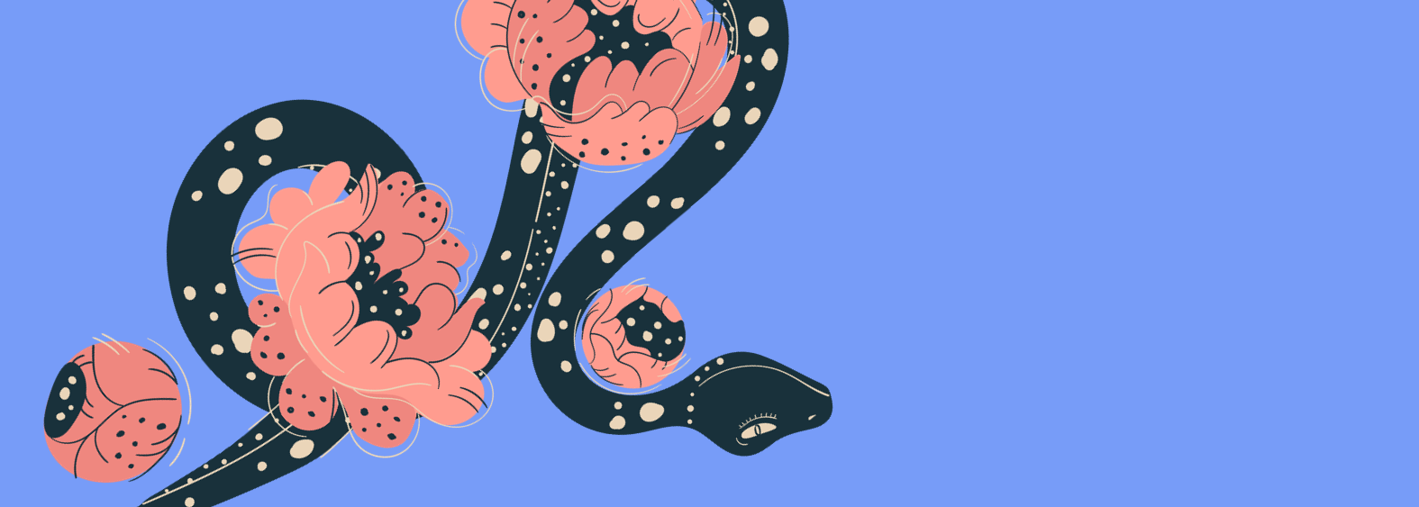 The Shadow Archetype